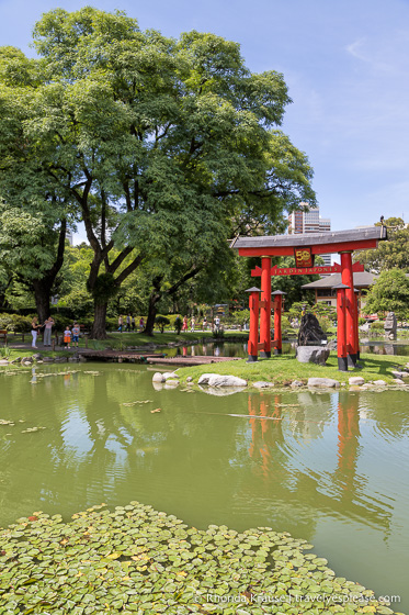 Estanque y puerta Torii.