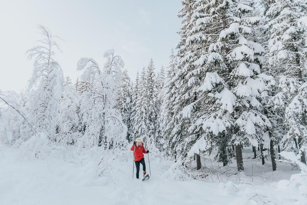 raquetas de nieve norte de noruega