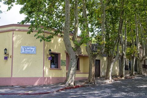 Calle arbolada en Colonia del Sacramento.