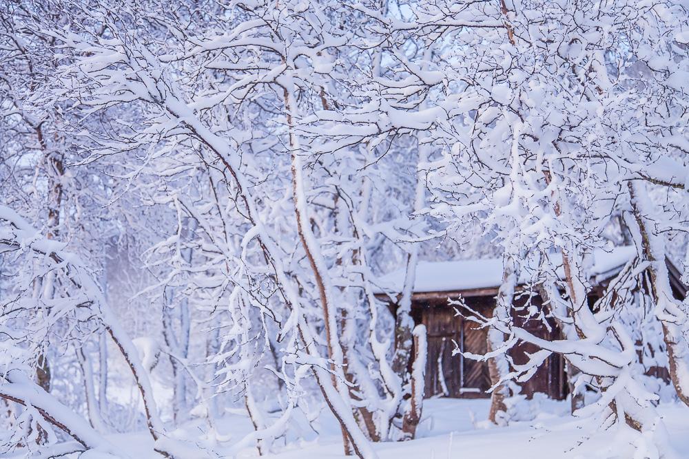 invierno noruega cobertizo de nieve cabaña