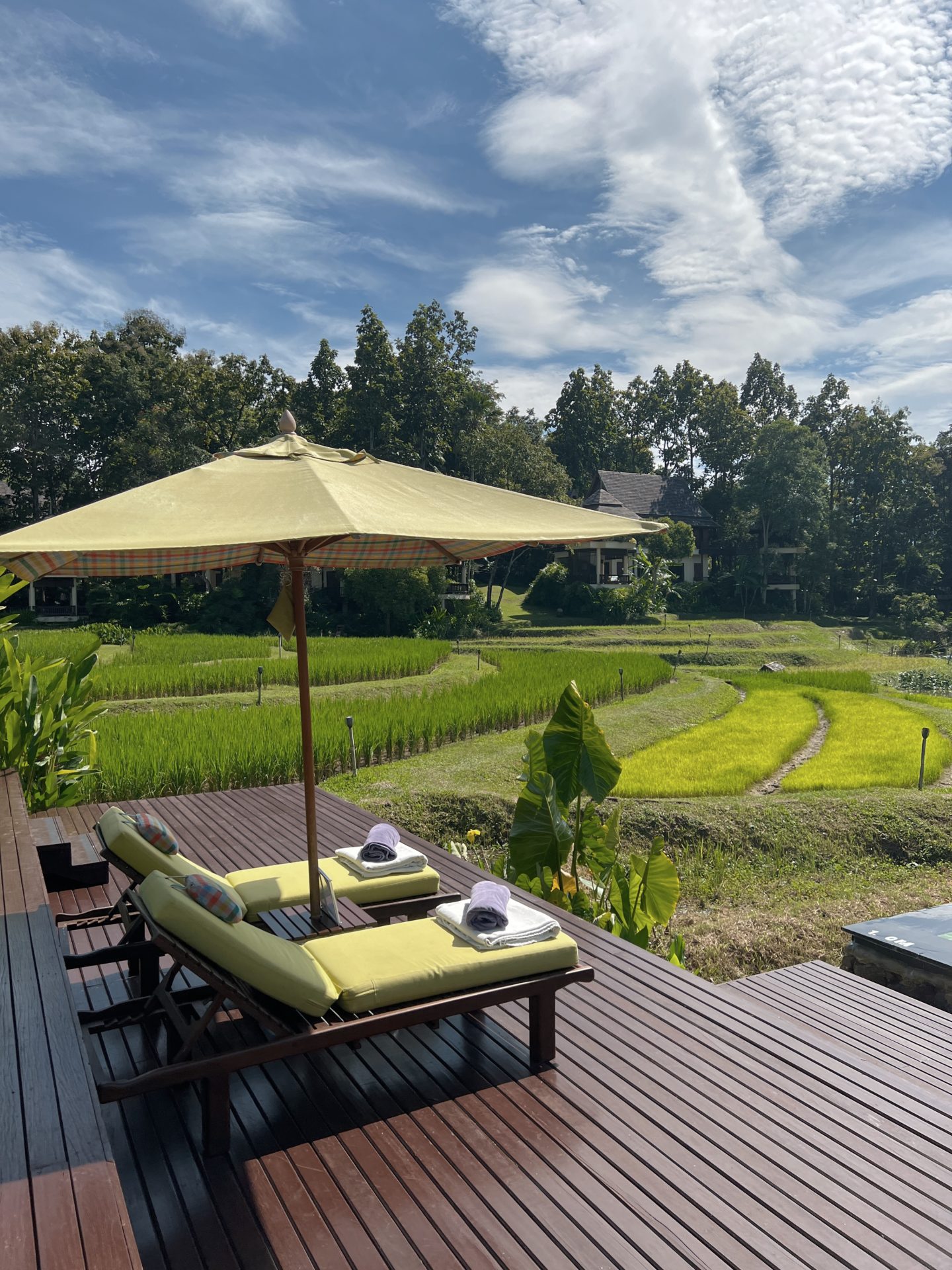 cuatro estaciones chiang mai