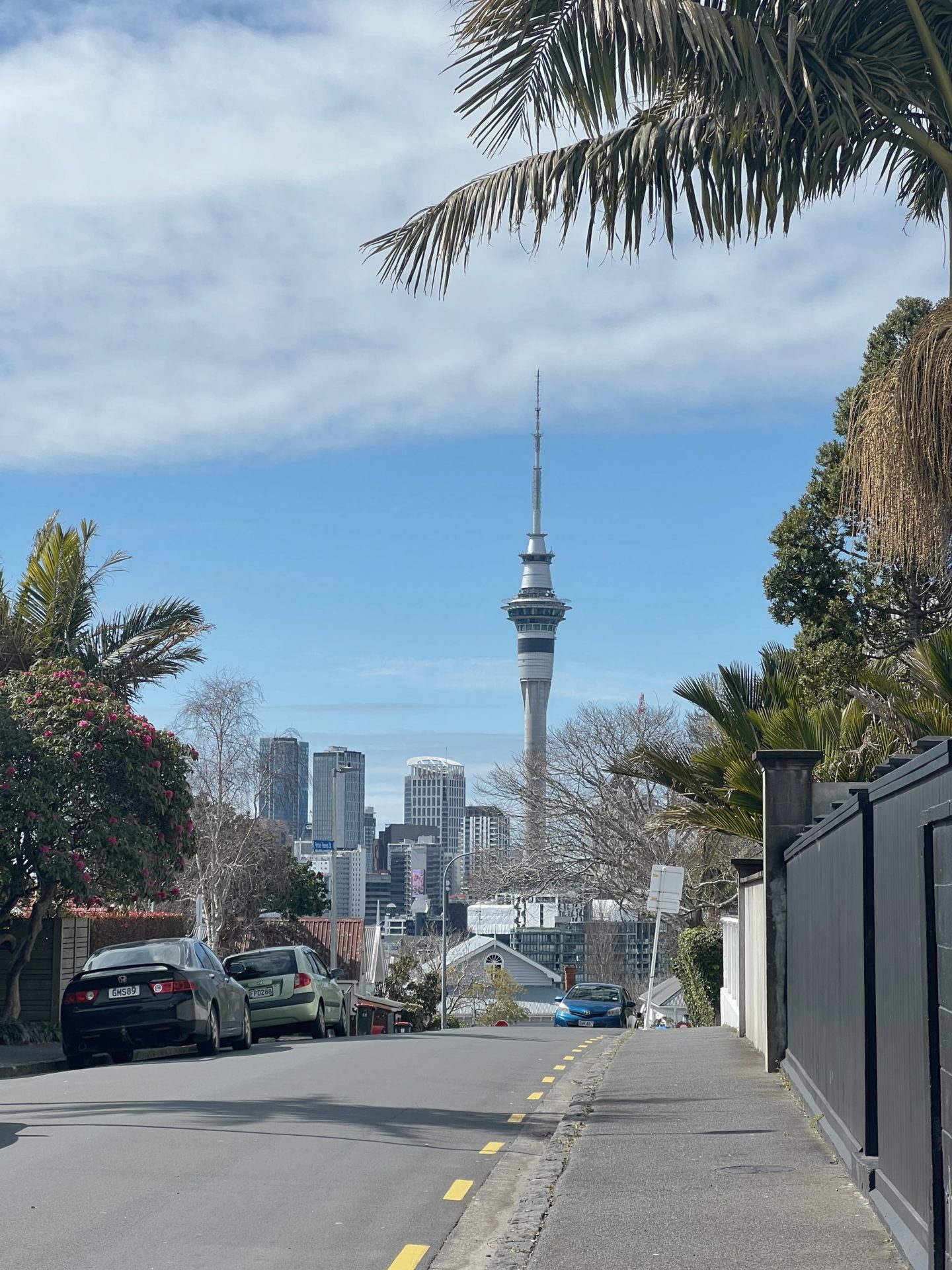 Guía de la ciudad de Auckland |  MUNDO DE LA TELEVISIÓN