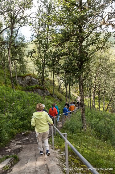 Turistas en el camino rocoso del bosque.
